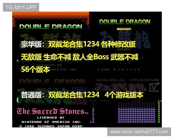 fc游戏rom包全收录，满足不同玩家的游戏收藏需求