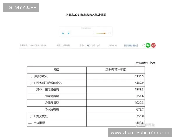 heb电子税务局常见问题解答及解决方案，提升税务申报效率